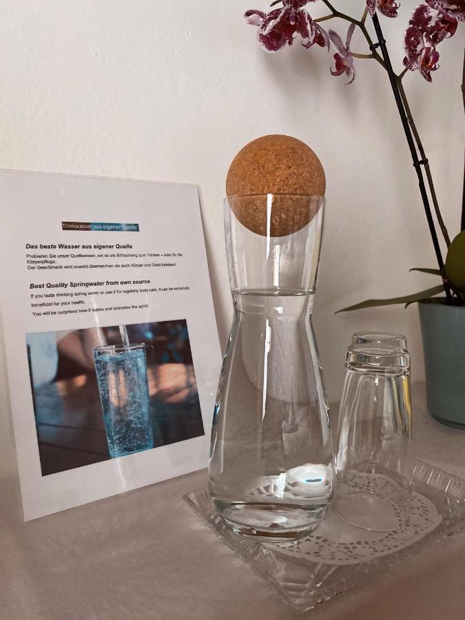 Haus Ratgeb Apartment Filzmoos Bagian luar foto